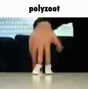 polyzoot